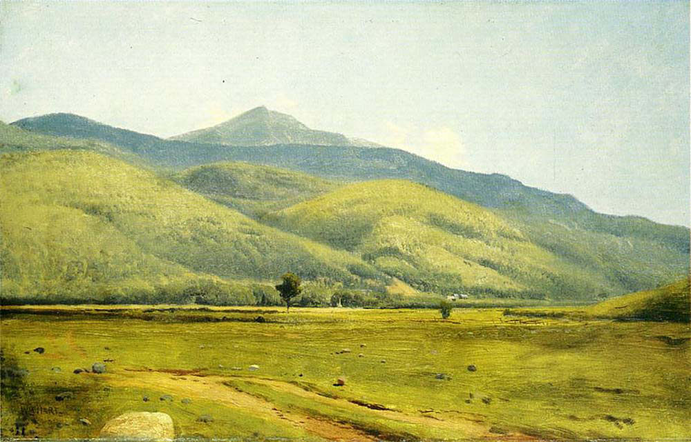 Fields in Summer 